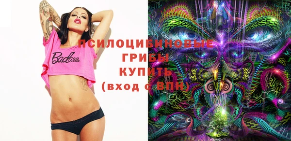 дурь Нягань