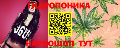 крисы Балашиха