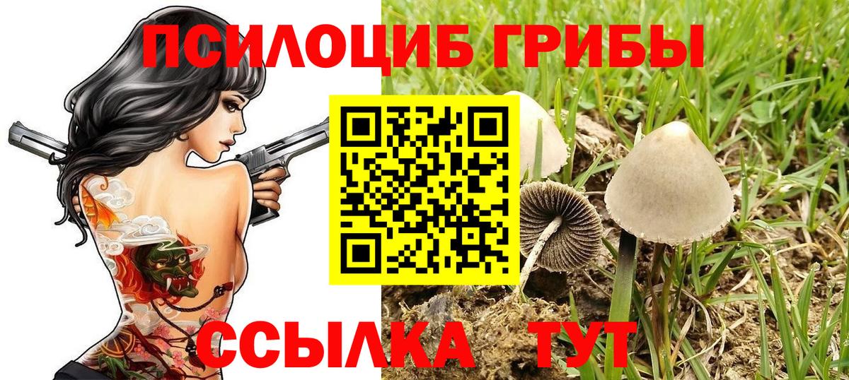 Галлюциногенные грибы Magic Shrooms Борисоглебск