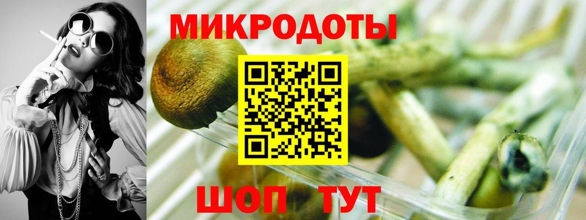 Псилоцибиновые грибы мухоморы Борисоглебск