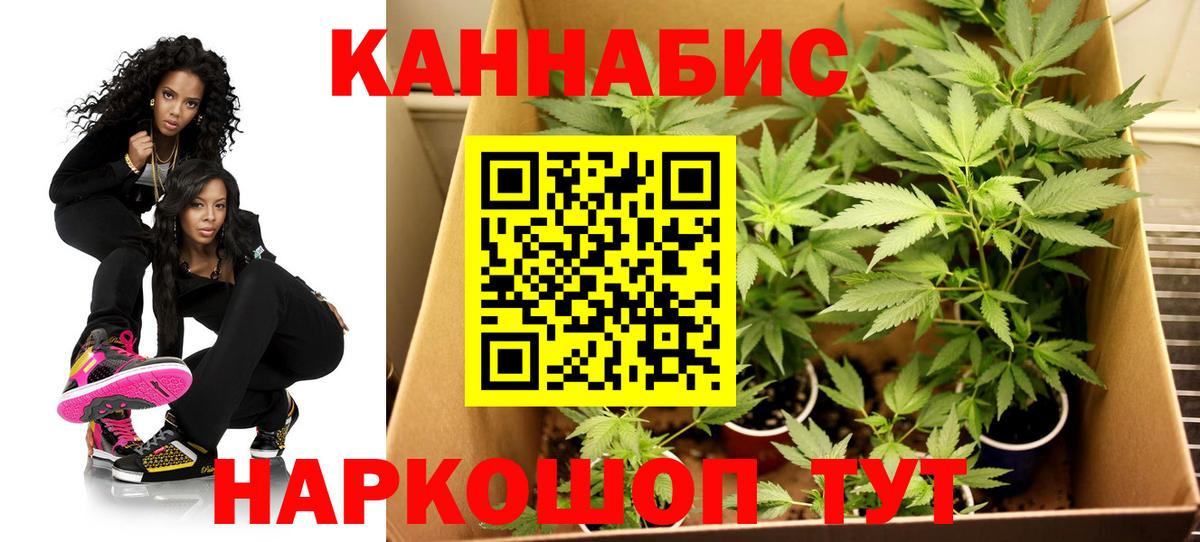 Шишки марихуана OG Kush  Канабис THC 21%  Марихуана White Widow  Борисоглебск 